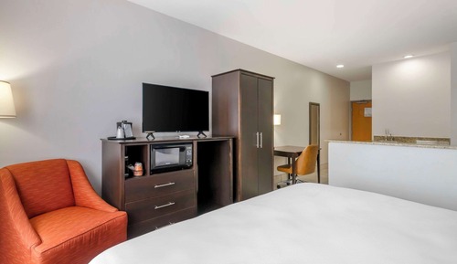Suite, 1 King Bed with Sofa bed, Non Smoking