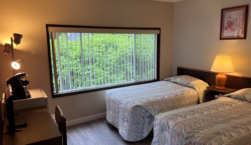 Basic Twin Room