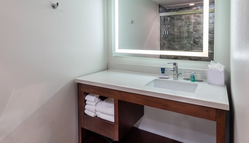 Traditional Room, 1 King Bed (Mobility/Hearing Access, Roll-In Shwr)
