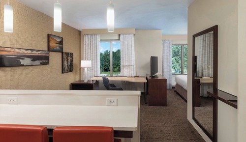 Studio, 1 King Bed with Sofa bed