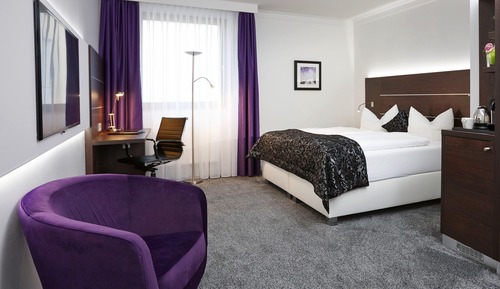 Double Room, 1 King Bed
