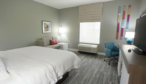 Room, 1 King Bed, Refrigerator