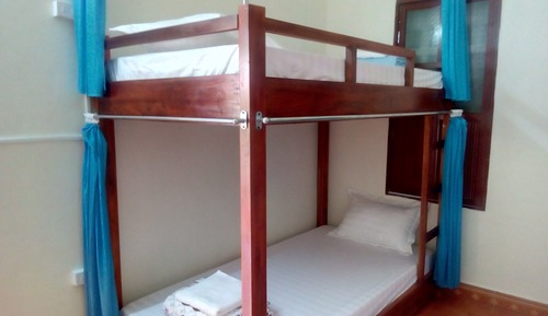Comfort Shared Dormitory