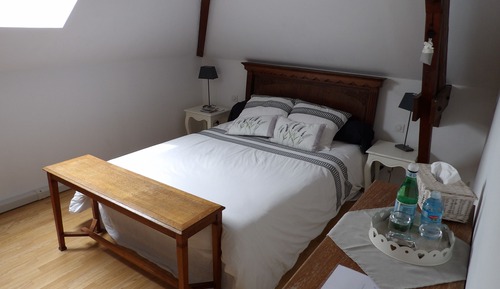 Comfort Suite