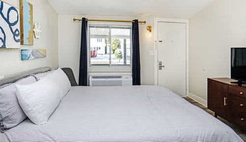 Single Room, 1 King Bed