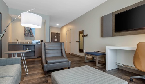 Suite, 1 King Bed with Sofa bed, Non Smoking