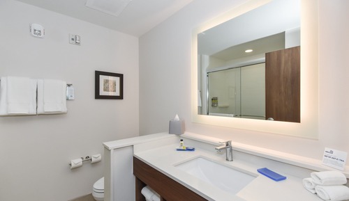 Suite, 1 King Bed, Accessible