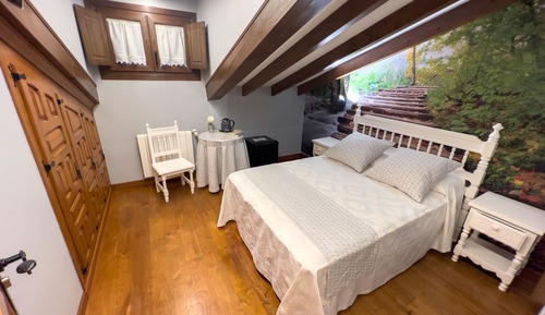 Economy Double Room (Penthouse)