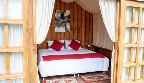 Ecolodge Luxury Glamping room with hot water