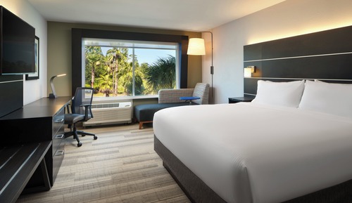 Suite, 1 King Bed, Accessible, Non Smoking (Communications)