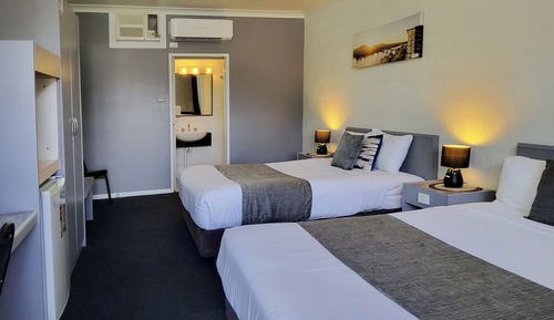 Deluxe Twin Room (Non Pet)