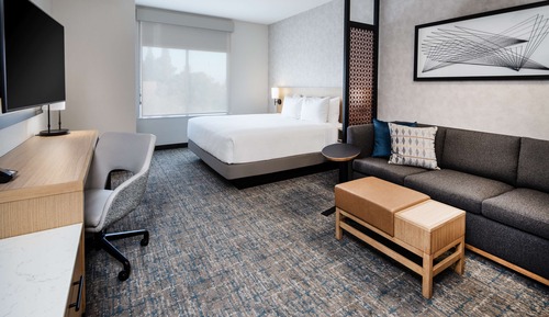 Room, 1 King Bed with Sofa bed
