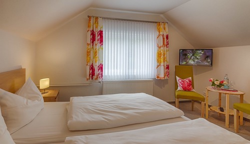 Basic Double Room