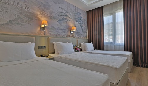 Deluxe Triple Room, Pool View