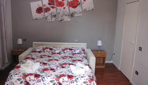 Basic Quadruple Room