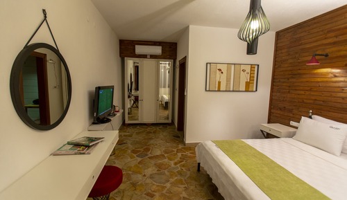 Standard Double Room, 1 Queen Bed, Mountain View