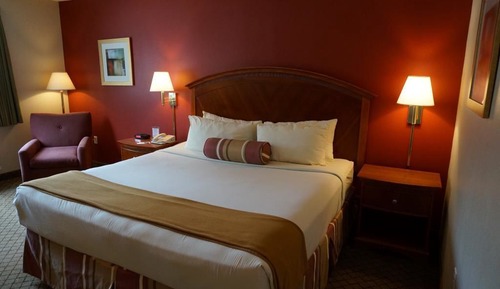 Basic Single Room