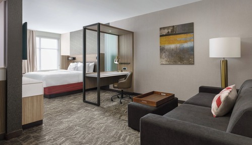 Suite, 1 King Bed with Sofa bed(Mobility Accessible, Roll-in Shower)