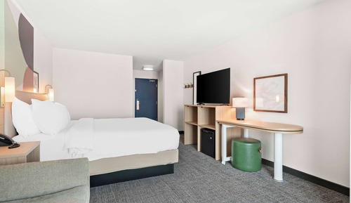 Room, 1 King Bed