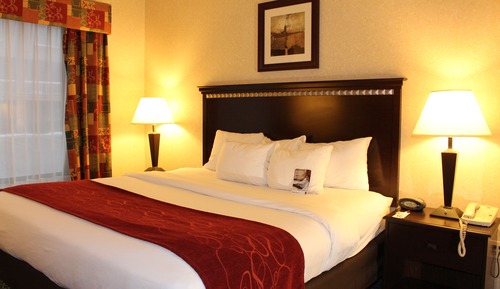 Suite, 1 King Bed