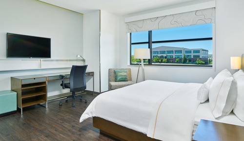 Room, 1 King Bed