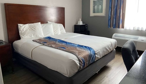 Standard Room, 1 King Bed