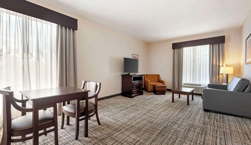 Suite, 1 King Bed, Non Smoking, Refrigerator & Microwave (with Sofabed)