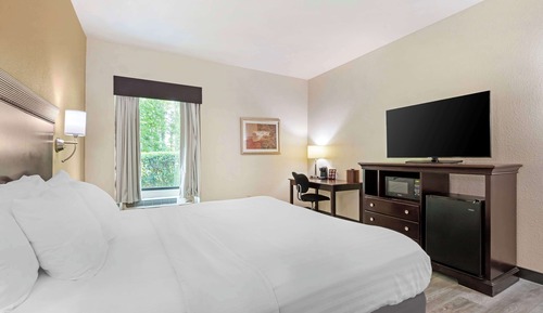 Suite, 1 King Bed, Accessible, Bathtub (with Sofabed)