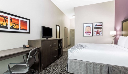 Studio Suite, 1 King Bed, Accessible, Non Smoking (Mobility/Hearing Impaired, NSMK)