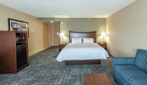 Room, 1 King Bed, Non Smoking (Drinks and Snacks)