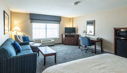 Room, 1 King Bed with Sofa bed, Non Smoking, Refrigerator & Microwave