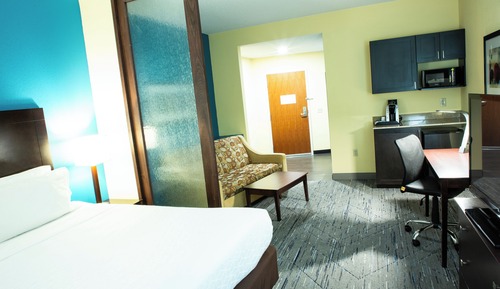 Standard Room, 1 King Bed, Accessible (Mobility, Roll-In Shower)
