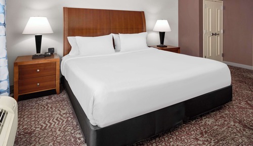 Junior Single Room, 1 King Bed