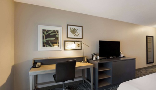 Room, 1 King Bed, Non Smoking