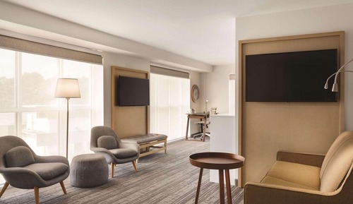 Studio Suite, 1 King Bed with Sofa bed, Accessible, Non Smoking (Roll-in Shower)