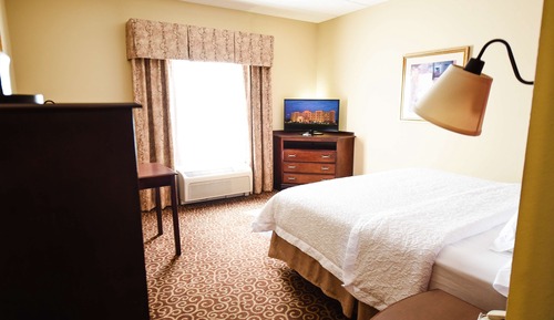 Room, 1 King Bed