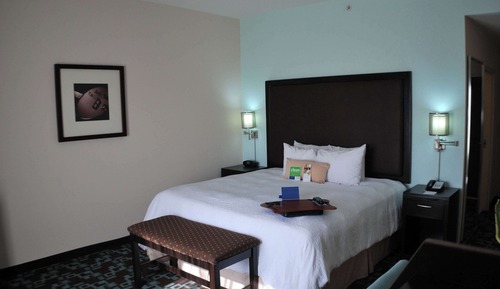 Room, 1 King Bed