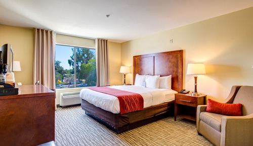 Standard Room, 1 King Bed, Non Smoking