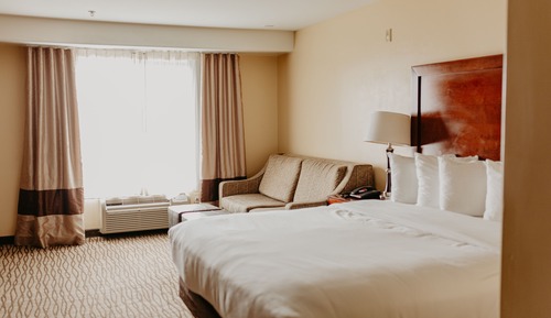 Room, 1 King Bed with Sofa bed, Non Smoking