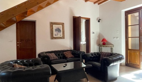 Basic Apartment