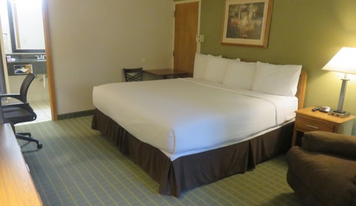 Room, 1 King Bed, Non Smoking