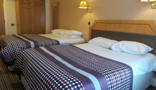 Twin Room, Multiple Beds