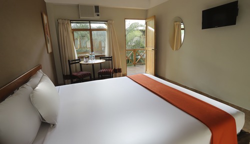 Traditional Double Room, 1 Queen Bed