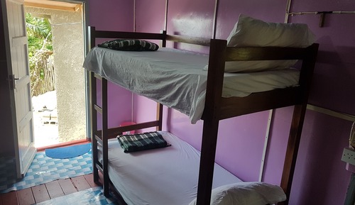 Basic Shared Dormitory, Multiple Beds, Smoking