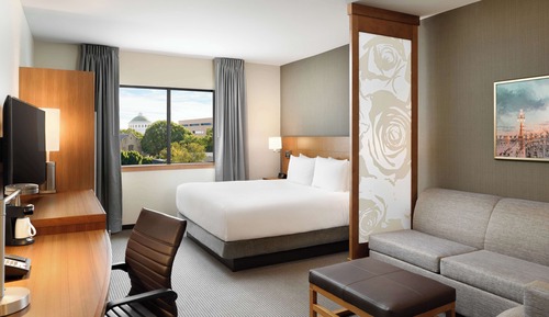 Room, 1 King Bed with Sofa bed, View
