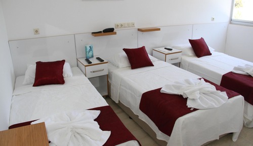 Standard Triple Room, Mountain View