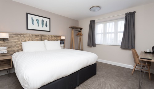Double or Twin Room, Accessible