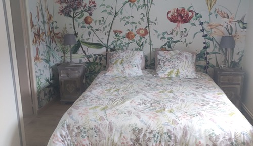 Classic Double Room, 1 Bedroom (Rose)