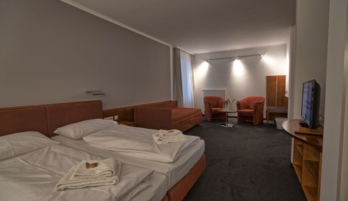 Comfort Triple Room