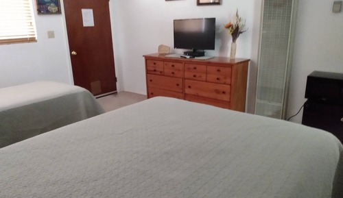 Basic Single Room, Multiple Beds, Non Smoking